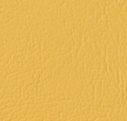 Pisa 3334