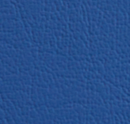 Pisa 3600