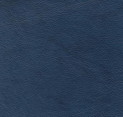 col.Blue Night