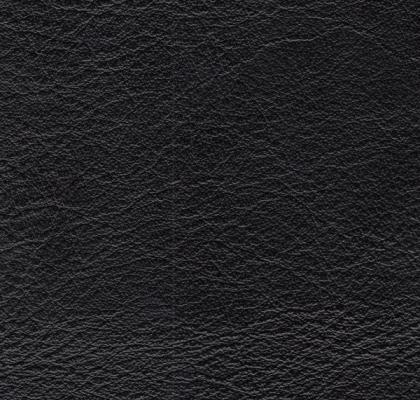 col.Casino Black