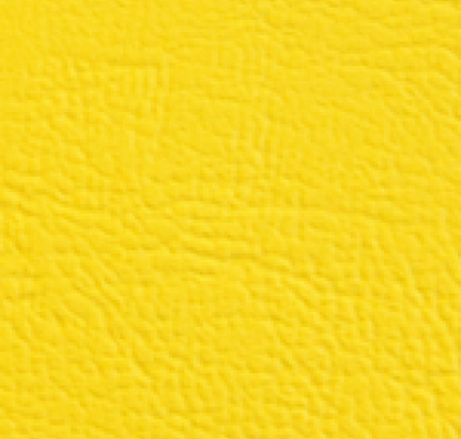 Pisa 3335